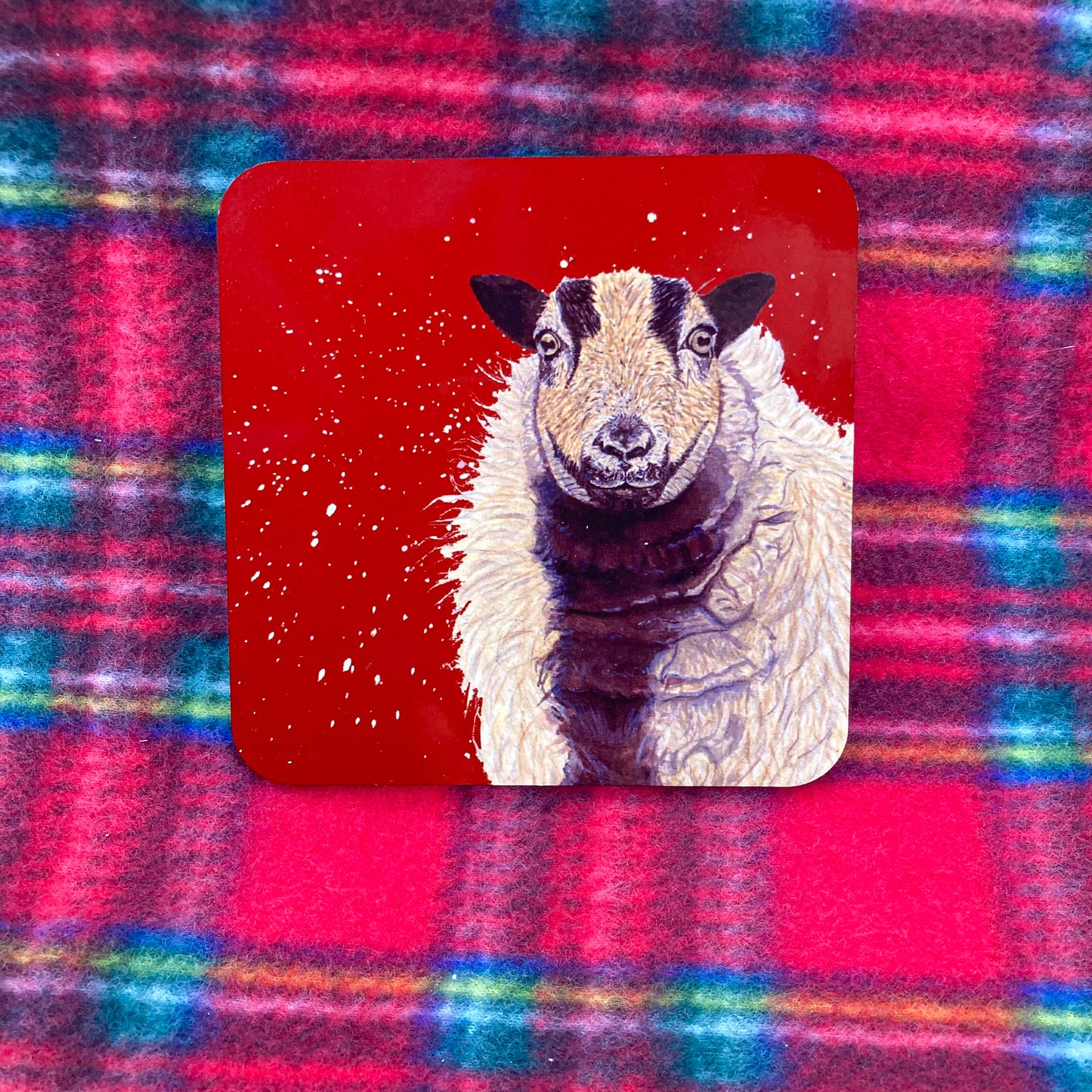 Badger Face Sheep Coaster