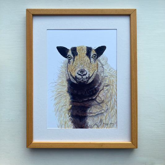 badger face sheep art print, sheep gift