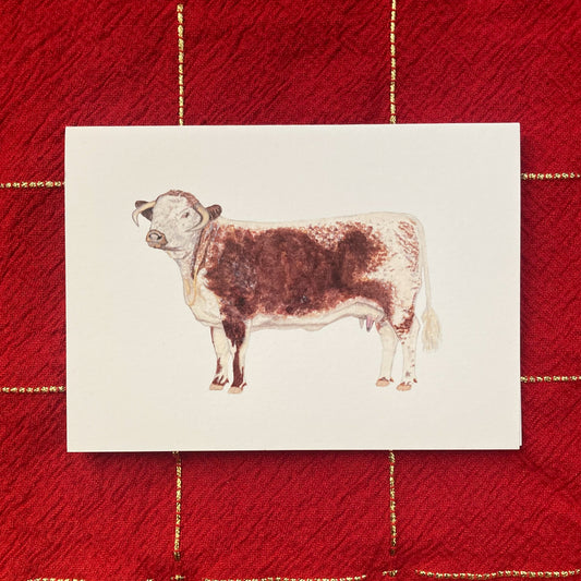 Longhorn Cow Greeting Card