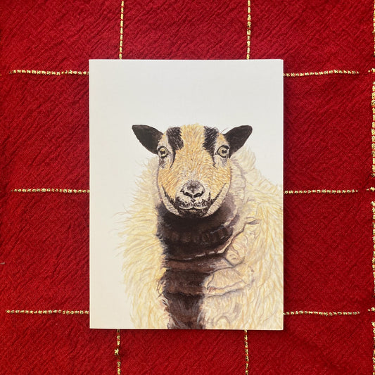 Badger Face Sheep Greeting Card