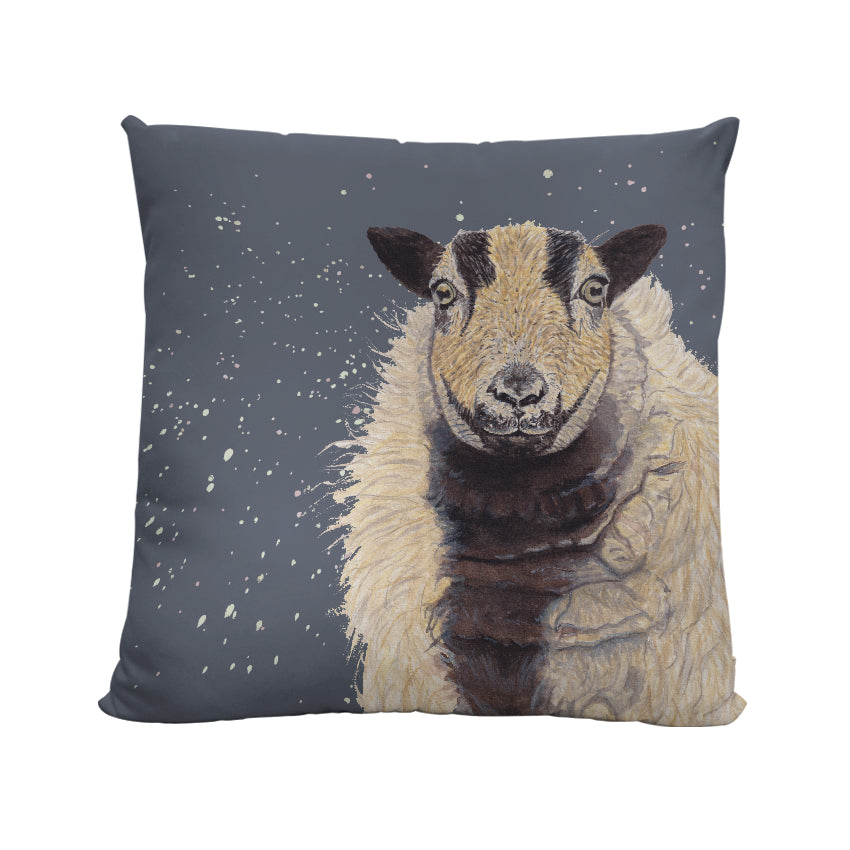 welsh badger faced sheep cushion - sheep gifts